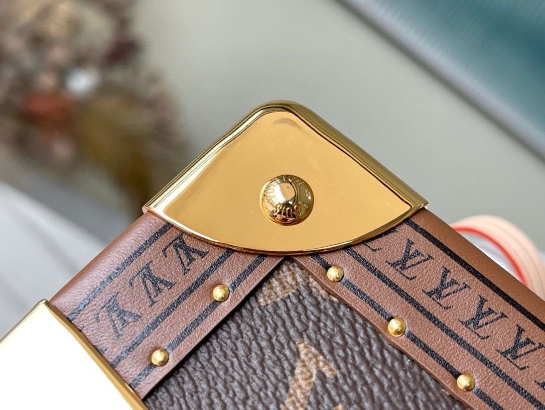 Louis Vuitton monogram box bag